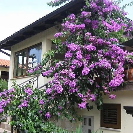 Apartments Ana Abbazia Esterno foto
