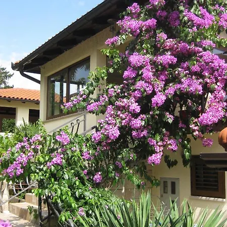 Apartments Ana Abbazia Esterno foto