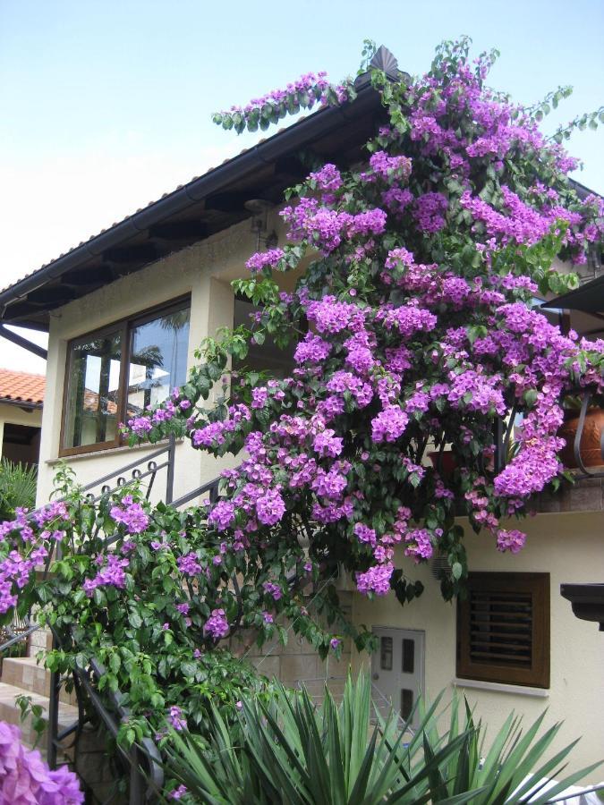 Ana * Opatija